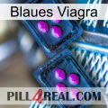 Blaue Viagra 03